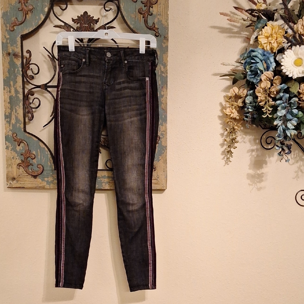 🔥🔥$8.00 Dear John Dark Gray Jeans with Purple Stripes.  NWOT Size 25